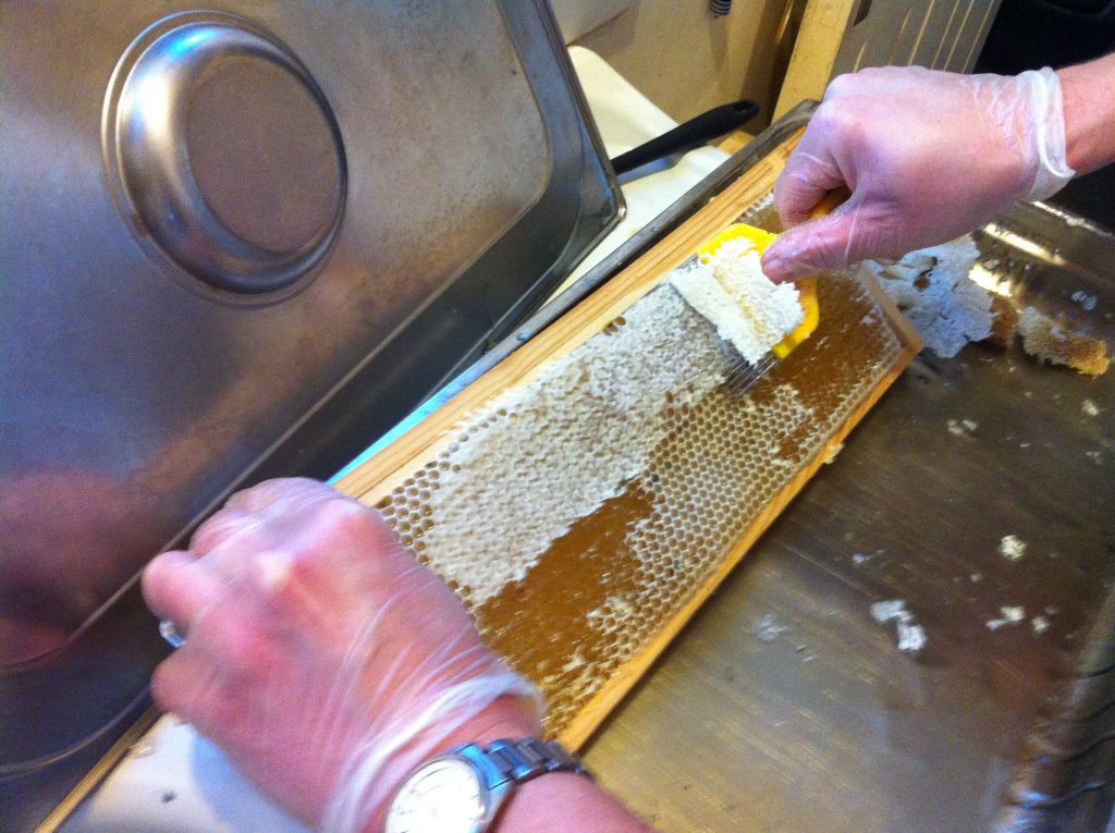 Uncapping honeycomb.